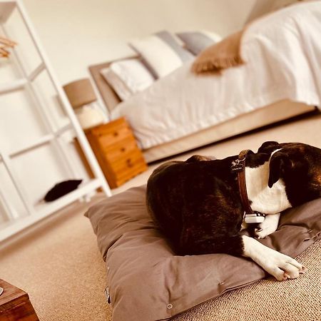 Bed and Breakfast The Ventnor Annex Экстерьер фото